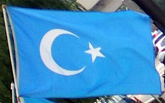東トルキスタンの旗